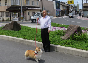 愛犬ココと宍道駅前散歩